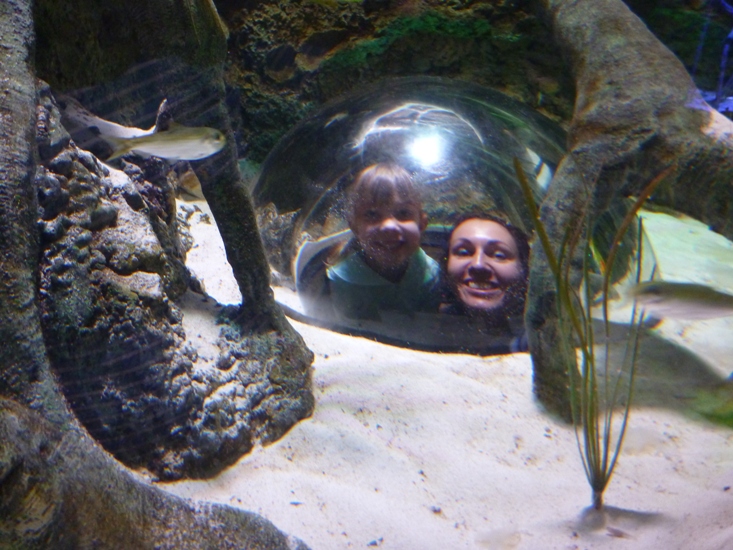 phototime nc aquarium