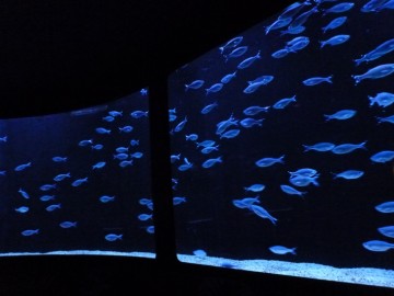 phototime nc aquarium
